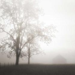 Farmland, Appalachia, 2013 | Obraz na stenu