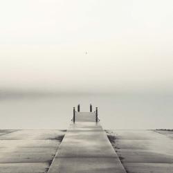 Pier and Seagull | Obraz na stenu