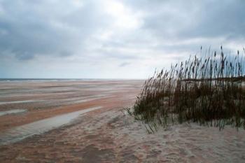 Sand Dunes II | Obraz na stenu