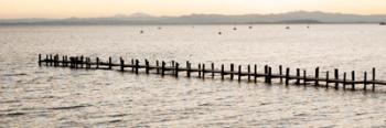 Vintage Pier Morning Vista | Obraz na stenu