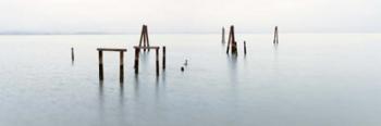 Vintage Pier in the Mist | Obraz na stenu