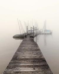 Harbor Fog | Obraz na stenu