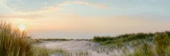 Island Sand Dunes Sunrise No. 1 | Obraz na stenu