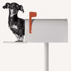 You've Got Mail | Obraz na stenu