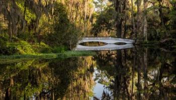 Long White Bridge | Obraz na stenu