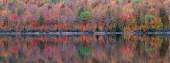 Upson Lake Reflection | Obraz na stenu