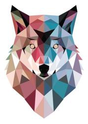 Geo Wolf | Obraz na stenu