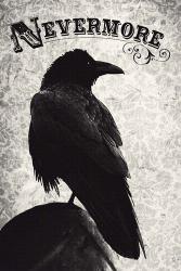 Nevermore | Obraz na stenu