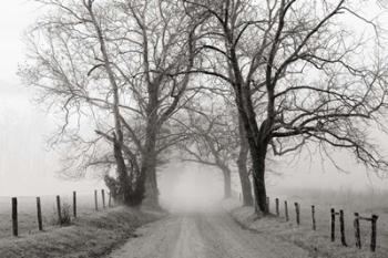 Sparks Lane, Late Autumn | Obraz na stenu