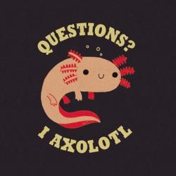 Axolotl Questions | Obraz na stenu