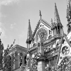 Shining Star of Paris - Notre Dame | Obraz na stenu