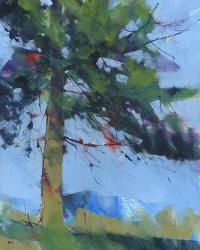 Gilfach Pine | Obraz na stenu