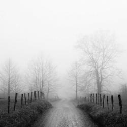 Sparks Lane in Fog | Obraz na stenu