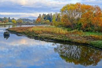 Estuary Autumn | Obraz na stenu