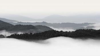 Rolling Fog, Smoky Mountains No. 2 | Obraz na stenu