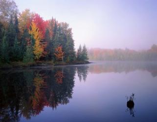 Foggy Morning Sunrise | Obraz na stenu