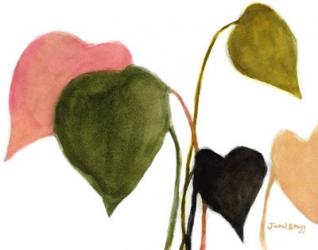 Philodendron in Rosy Greens No. 2 | Obraz na stenu