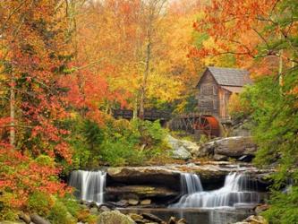 Autumn Splendor | Obraz na stenu