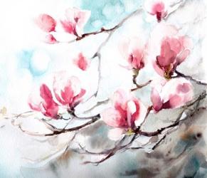 Magnolia, Spring | Obraz na stenu
