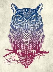 Warrior Owl | Obraz na stenu