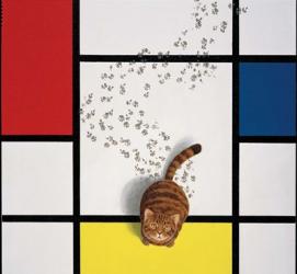 Mondrian Cat | Obraz na stenu