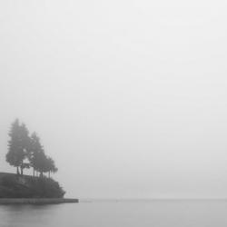 Foggy Coast 1 | Obraz na stenu