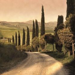 Country Lane, Tuscany | Obraz na stenu