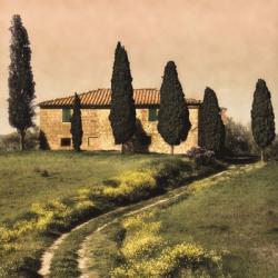 Tuscan Farmhouse | Obraz na stenu