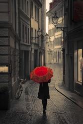 Red Rain | Obraz na stenu