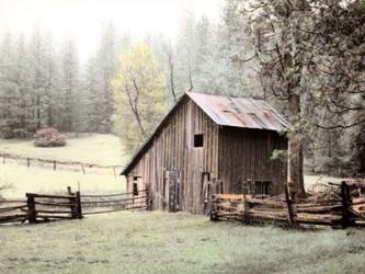 Barn near Sonora | Obraz na stenu