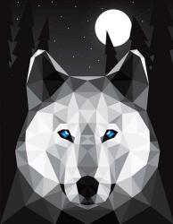 Tundra Wolf | Obraz na stenu