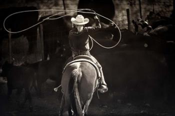 American Cowgirl | Obraz na stenu