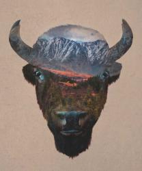 Bison Peak | Obraz na stenu