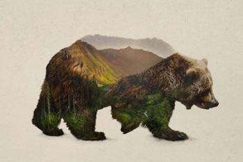 North American Brown Bear | Obraz na stenu