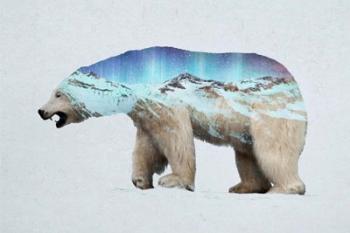 The Arctic Polar Bear | Obraz na stenu
