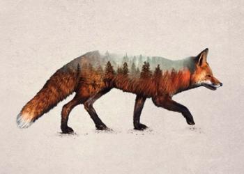 The Red Fox | Obraz na stenu