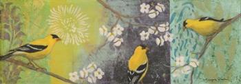 Goldfinches Blooming | Obraz na stenu