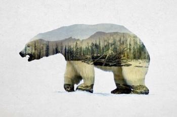 Arctic Polar Bear | Obraz na stenu