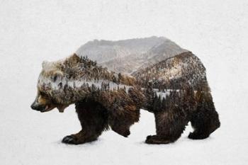 The Kodiak Brown Bear | Obraz na stenu