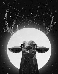 Banyon Deer | Obraz na stenu