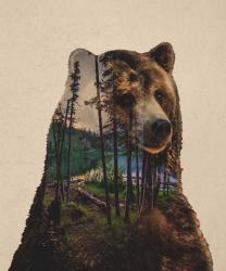 Bear Lake | Obraz na stenu