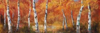 Autumn Birch I | Obraz na stenu