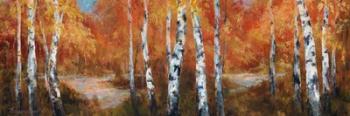 Autumn Birch II | Obraz na stenu