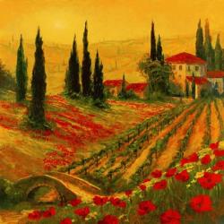 Poppies of Toscano I | Obraz na stenu