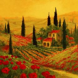 Poppies of Toscano II | Obraz na stenu