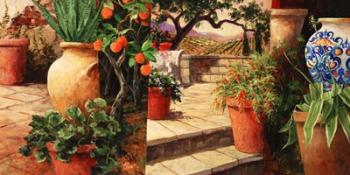 Turo Tuscan Orange | Obraz na stenu