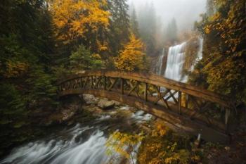 A Bridge in the Forest | Obraz na stenu