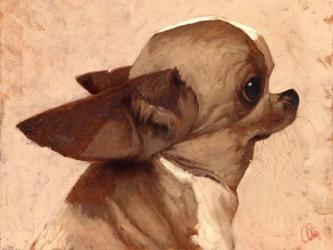 Profile-Chihuahua | Obraz na stenu
