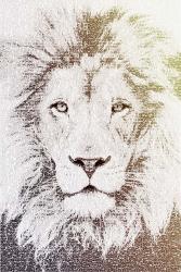 Lion | Obraz na stenu