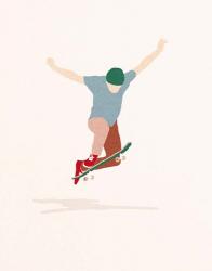 Skate Non-Comply | Obraz na stenu